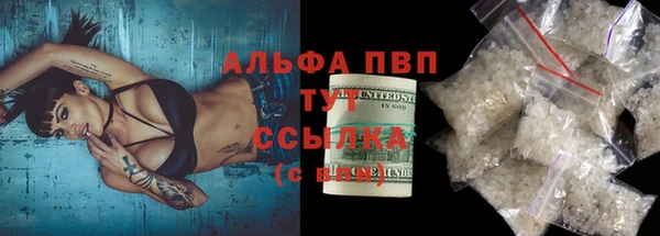 шишки Новодвинск
