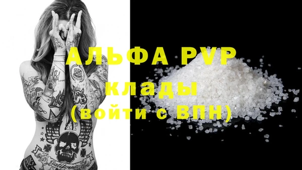 шишки Новодвинск
