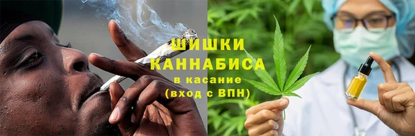 шишки Новодвинск