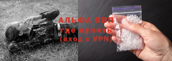шишки Новодвинск