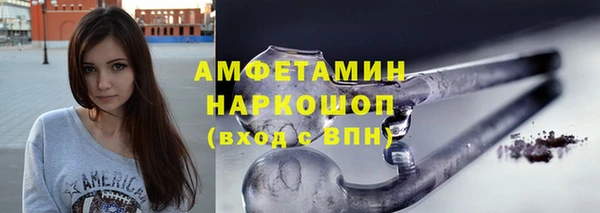 шишки Новодвинск