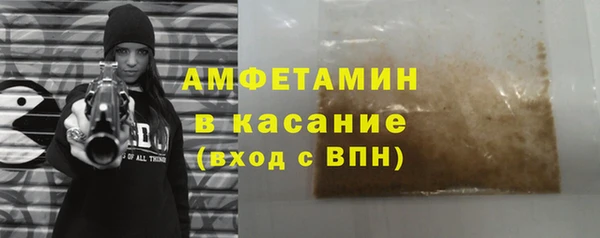 шишки Новодвинск