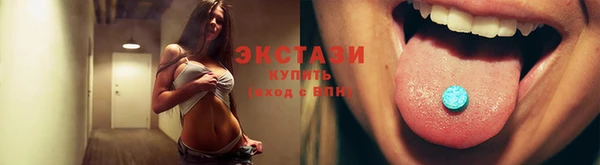 шишки Новодвинск