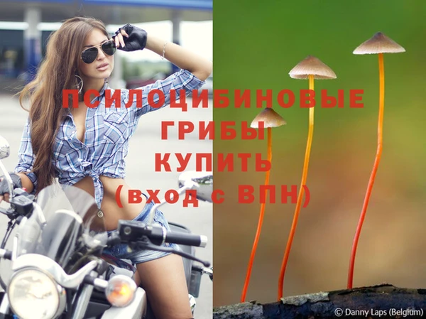 стафф Нефтегорск