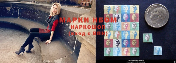 шишки Новодвинск