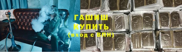 шишки Новодвинск