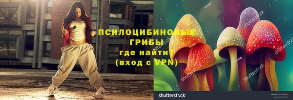дживик Новокубанск