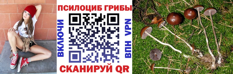 гидра зеркало  Североморск  Галлюциногенные грибы MAGIC MUSHROOMS 