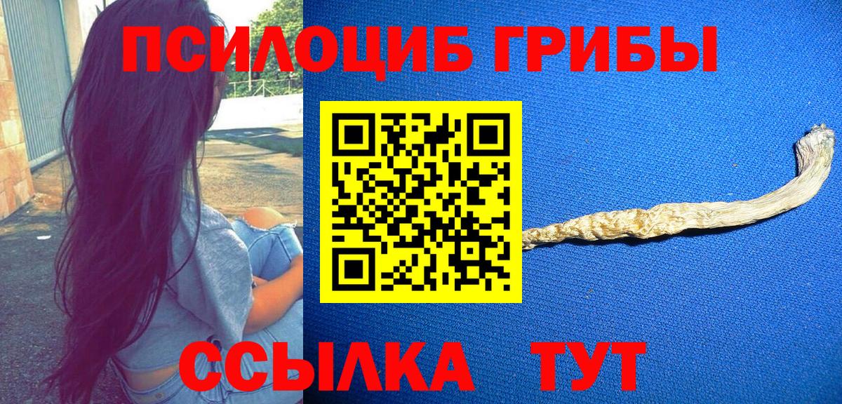 Галлюциногенные грибы GOLDEN TEACHER Североморск