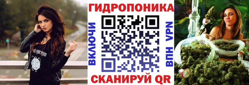 omg зеркало  Североморск  Каннабис индика 